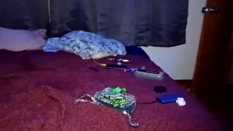 Snapshot of feetandmeat420 chatting on October 29, 9:33 am feetandmeat420 online show from October 29, 9:33 am