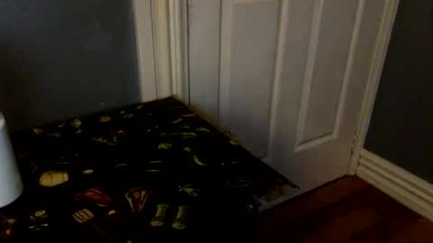 HairyBrownGuy online show from February 8, 1:03 pm