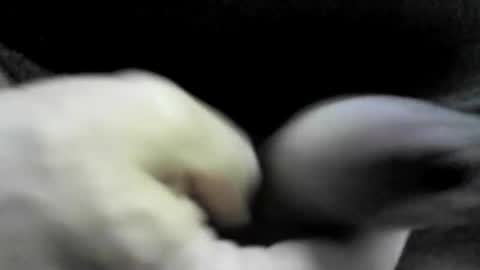 felicaste online show from September 17, 10:33 pm