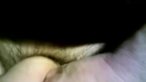 felicaste online show from April 13, 4:34 pm