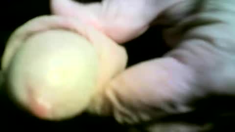 felicaste online show from April 17, 9:18 pm