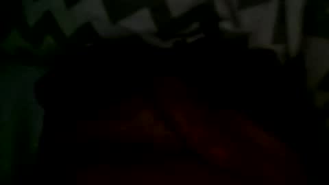 Snapshot of felixske chatting on January 11, 9:47 am felixske online show from January 11, 9:47 am