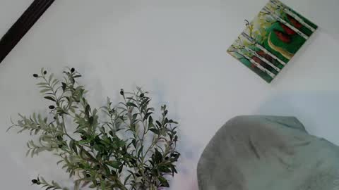 Snapshot of femboy_veronica chatting on May 3, 6:19 am femboy_veronica online show from May 3, 6:19 am