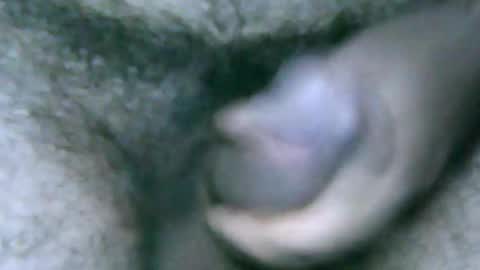 Snapshot of fer_2197 chatting on December 28, 1:17 pm fer_2197 online show from December 28, 1:17 pm