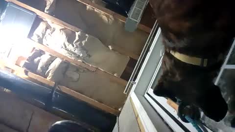 Snapshot of fkmylife6669 chatting on September 25, 2:15 am Nate online show from September 25, 2:15 am