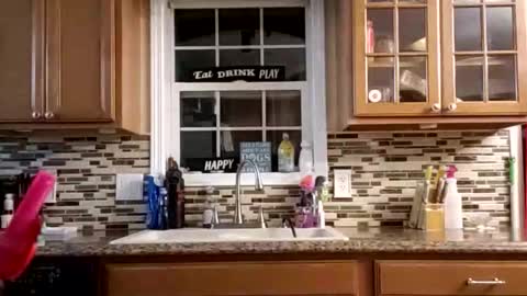 Nate online show from February 24, 6:55 am