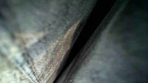 Snapshot of flash1372 chatting on February 28, 4:13 am flash online show from February 28, 4:13 am