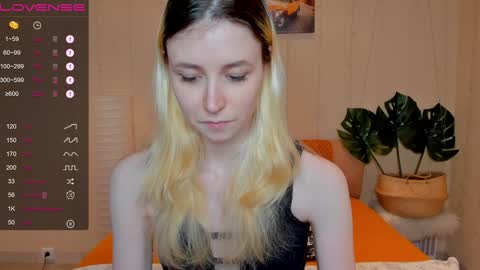 FlexiMona online show from December 8, 9:46 am