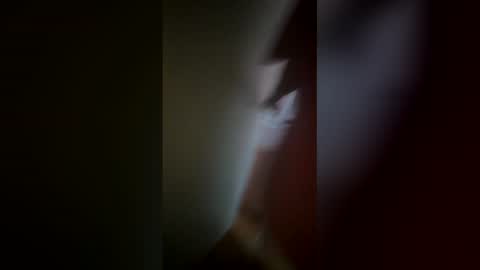 Ive Retired From Camming  online show from February 12, 8:04 pm