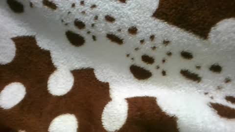 Snapshot of flora48230522373 chatting on June 21, 5:21 am flora48230522373 online show from June 21, 5:21 am