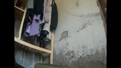 flowers555 online show from February 6, 8:07 am