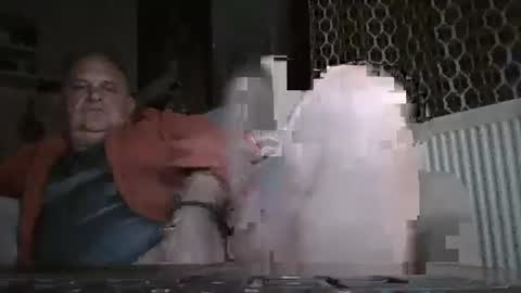 fofodi online show from November 28, 9:50 pm