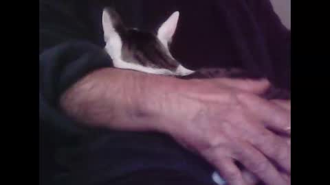 Snapshot of foolmonty chatting on October 12, 12:53 am Hooz2no online show from October 12, 12:53 am