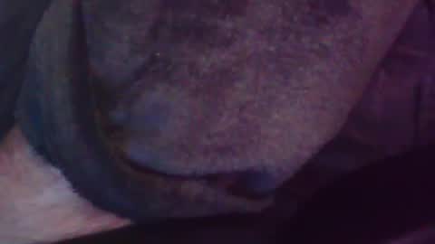 Snapshot of foolmonty chatting on July 28, 1:12 am Hooz2no online show from July 28, 1:12 am