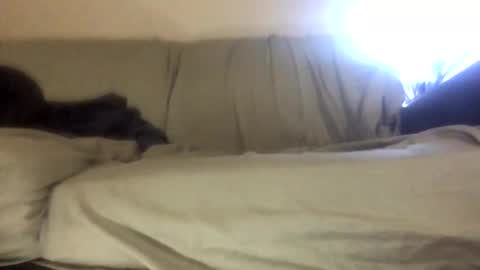 Biglongdong99 online show from April 22, 9:16 pm