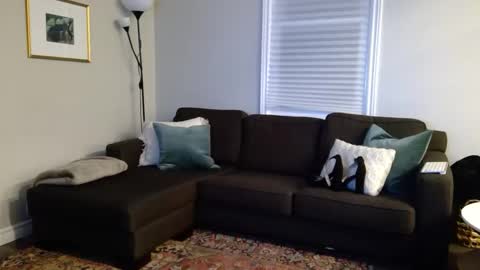 Foxy online show from October 7, 12:52 am