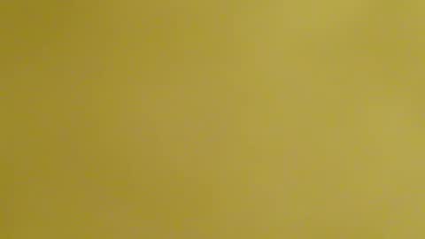 frankyb0yforeal online show from February 24, 7:28 am