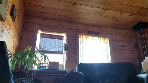 Snapshot of frederickory chatting on March 1, 8:22 pm Anderson fz online show from March 1, 8:22 pm