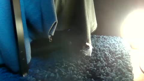 Snapshot of fredthetom12 chatting on February 14, 8:59 pm Greedy Fred online show from February 14, 8:59 pm