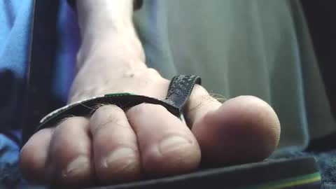 Greedy Fred online show from February 5, 2:54 pm