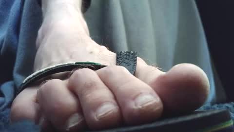 Greedy Fred online show from February 24, 4:05 pm