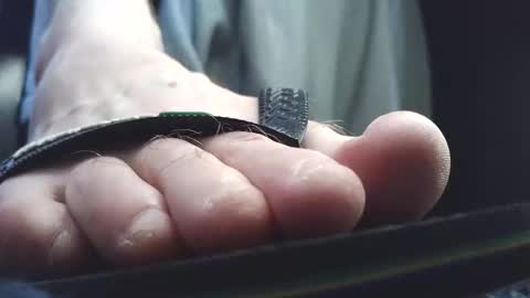 Greedy Fred online show from March 10, 3:06 pm