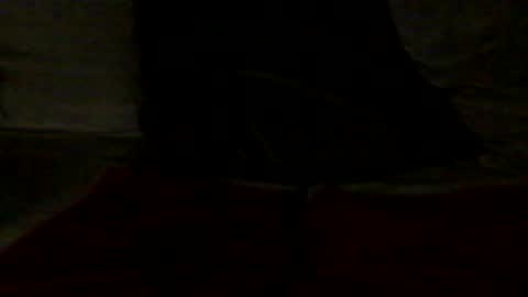 Snapshot of french_dick_20 chatting on June 13, 6:06 pm french_dick_20 online show from June 13, 6:06 pm