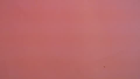 FREYJA LOREN online show from January 16, 11:16 pm