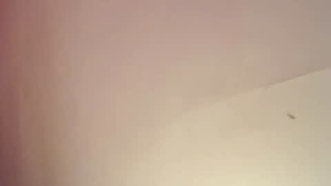 FREYJA LOREN online show from February 25, 8:09 pm