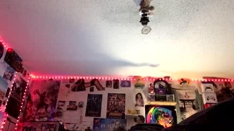 Snapshot of frozen232 chatting on April 6, 3:37 am Fabian online show from April 6, 3:37 am