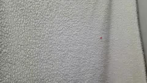 Snapshot of fu338208 chatting on March 12, 4:41 am fu338208 online show from March 12, 4:41 am