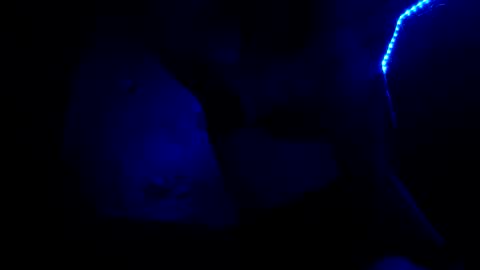 Snapshot of fu338208 chatting on October 26, 6:52 am fu338208 online show from October 26, 6:52 am