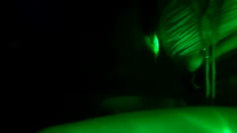 Snapshot of fu338208 chatting on October 30, 12:17 pm fu338208 online show from October 30, 12:17 pm