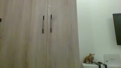 Prince online show from November 13, 10:36 am