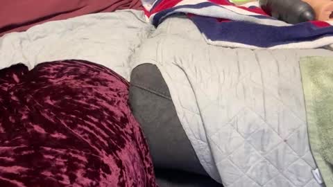 Snapshot of funwithtoyz chatting on January 10, 7:04 am funwithtoyz online show from January 10, 7:04 am