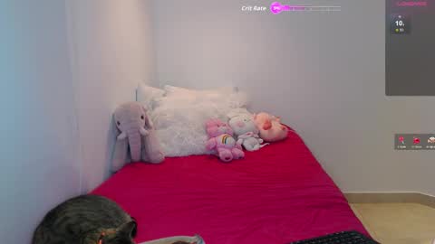 .  online show from February 26, 4:11 am