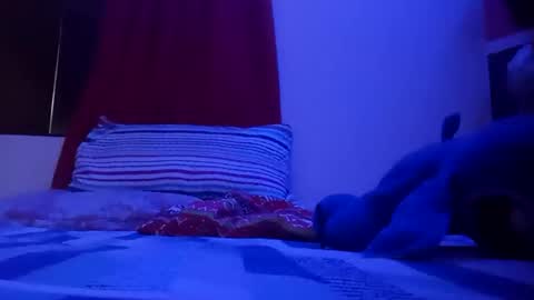 Snapshot of gabrieli311783 chatting on November 7, 11:38 pm gabrieli311783 online show from November 7, 11:38 pm