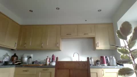 Snapshot of galacx chatting on October 29, 12:07 pm galacx online show from October 29, 12:07 pm