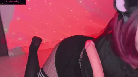 PROXIMO SHOW NOVIEMBRE 16   NEXT SHOW NOVEMBER  16    online show from January 6, 2:48 am