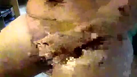 Stutzen online show from September 17, 8:05 am