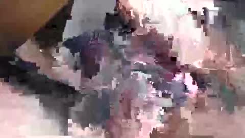 Gansozo online show from November 23, 11:26 pm