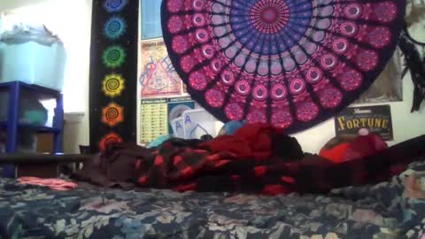 Gardenia online show from February 22, 8:40 pm