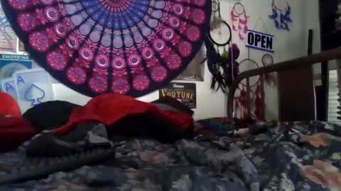 Gardenia online show from April 4, 10:24 am