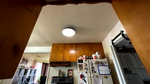 Snapshot of garypumpt chatting on October 1, 4:02 pm marvin pumpt online show from October 1, 4:02 pm