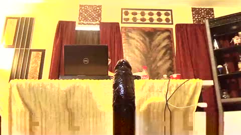 Snapshot of gatewaylaptop2019 chatting on March 2, 3:37 pm gatewaylaptop2019 online show from March 2, 3:37 pm