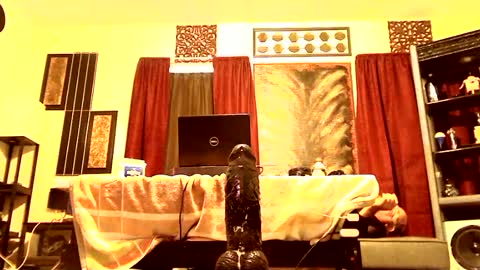 Snapshot of gatewaylaptop2019 chatting on March 9, 2:10 pm gatewaylaptop2019 online show from March 9, 2:10 pm