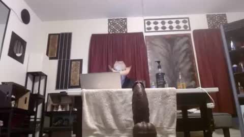 gatewaylaptop2019 online show from April 2, 11:30 am