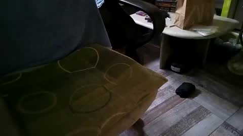 Snapshot of gazdadoka chatting on March 12, 8:51 am gazdadjoka online show from March 12, 8:51 am