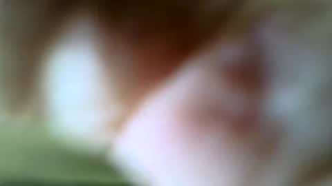 gazjones231 online show from November 16, 12:22 pm
