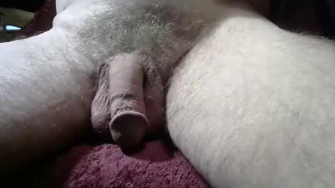 gemini_2 online show from March 3, 9:31 pm